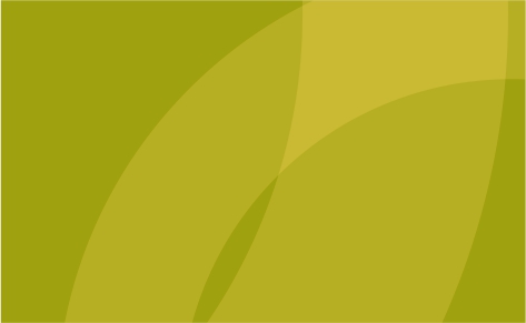 Курс лекций «Традиционные семейные ценности»